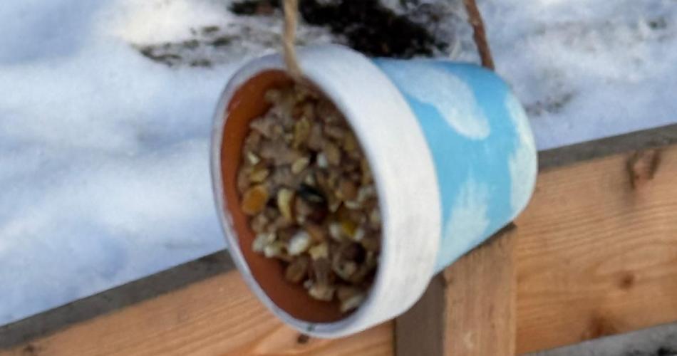 Vogelfutter Blumentopf 2026